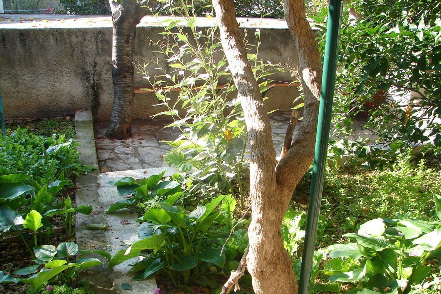 מאקרסקה Apartments Sini מראה חיצוני תמונה